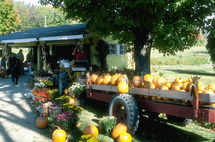 Farm Stand